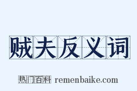 贼夫反义词是什么意思的图片